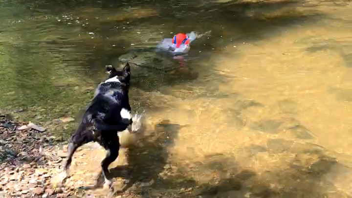 The Ball Too Big to Catch